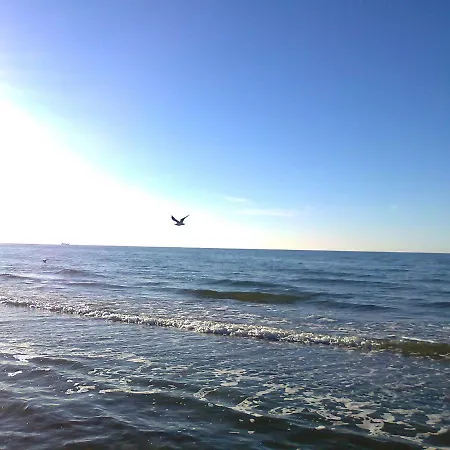 Gemuetliches In Mit Sauna