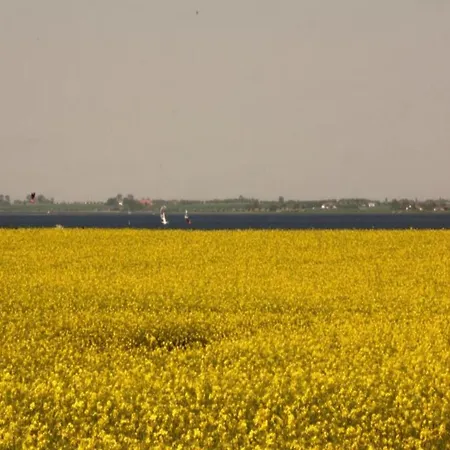 Дом отдыха Gemuetliches In Mit Sauna